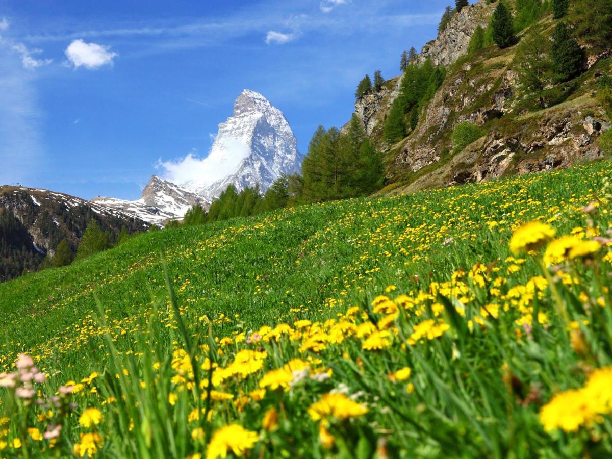 Apartment Silence-1 By Interhome Zermatt Bagian luar foto
